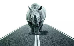 臣通觀點丨小心，中國產(chǎn)業(yè)園區(qū)的“灰犀牛”又來了！